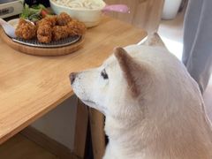 -柴の食堂·日式家庭料理·熊之肆(大学路店)