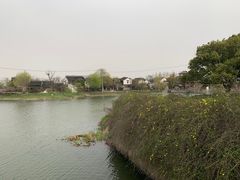 -苏州上方山国家森林公园