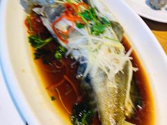 -船歌·鱼水饺青岛菜(闽江二路店)