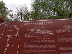 -大岭沟猕猴桃谷风景区