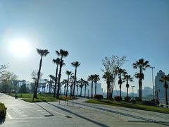 -金沙湖公园