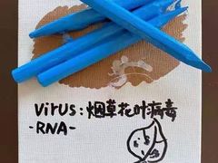 -杨梅红艺术教育(凤城教学中心)