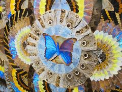 -上海昆虫博物馆