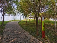 -东郊湿地公园