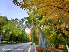 -辽宁大学(崇山校区)