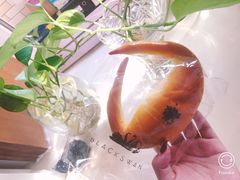 -BLACKSWAN黑天鹅(环球店)