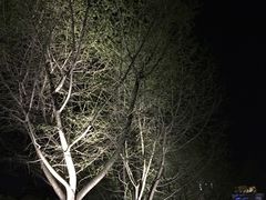 -苏州河梦清园环保主题公园