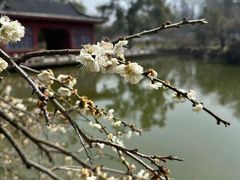 -东湖磨山景区