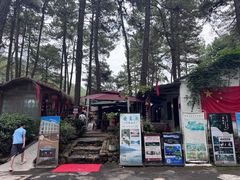 -小小饭店·休闲农庄·安吉松树林里的农家菜