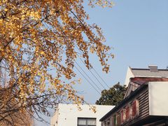 -苏州蜜饯门市部