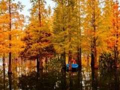 -白鹭湾湿地公园
