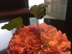 -广州富力君悦大酒店·关系酒廊