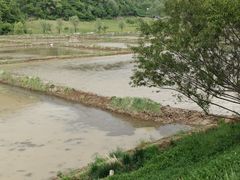 -南泥湾风景区