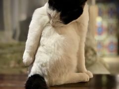 -么么咖啡(燕郊店)