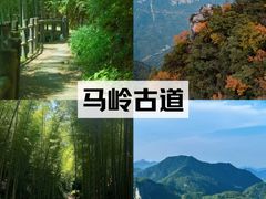 -杭州生仙里国际滑雪场