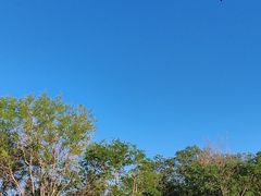 -天津东丽湖风景区