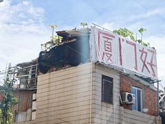 -溪岸路花鸟市场