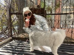 -喵屿·大理花园猫咖