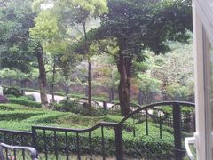 -深圳东部华侨城茵特拉根酒店