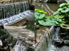 -洛阳白云山景区