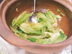啫啫生菜煲-陶陶居酒家(海岸城店)