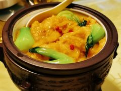 鼎好浓汤烩鱼肚-同和居(月坛店)