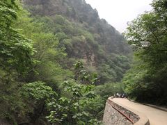 -北京上方山国家森林公园