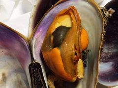 鼎香缘海鲜火锅自助(高新店)-鼎香缘海鲜自助火锅烤肉(锦辉购物广场店)