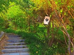 -清凉山国家森林公园