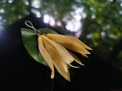 -兴福老面馆(寺路街店)