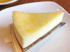 柚子芝士蛋糕-Seesaw Coffee(朝阳大悦城店)
