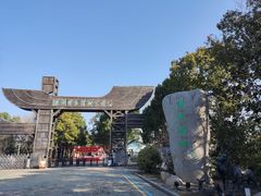 -溱湖国家湿地公园