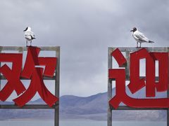 -班公湖