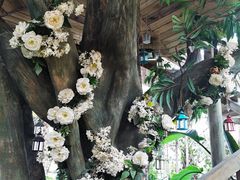 -大塘金香草谷