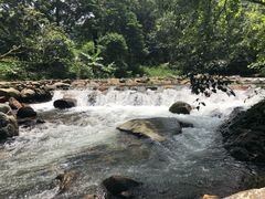 -广州市石门国家森林公园