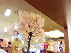 -汤泉良子(金源店)