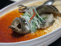 清蒸石斑鱼-富淳饭店(陆家嘴保利广场店)