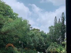 -金山植物公园
