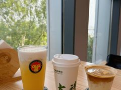-了不起的考拉咖啡店(高新店)