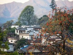 -塔川景区