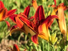 -汉长安城未央宫国家考古遗址公园