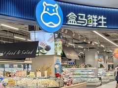 -盒马鲜生(大成店)