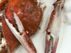 -金海湾海鲜排档(朱家尖店)