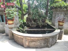 -老君山