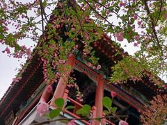 -武汉园博园(武汉自然博物馆)