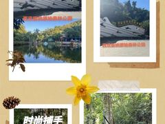 -西双版纳原始森林公园