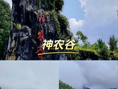 -炎陵县神农谷国家森林公园