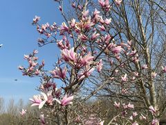 -永定河休闲森林公园