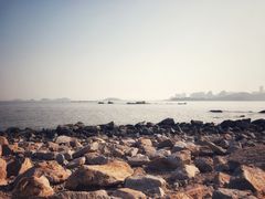 -野狸岛
