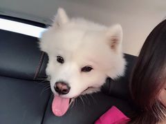 -小南海站